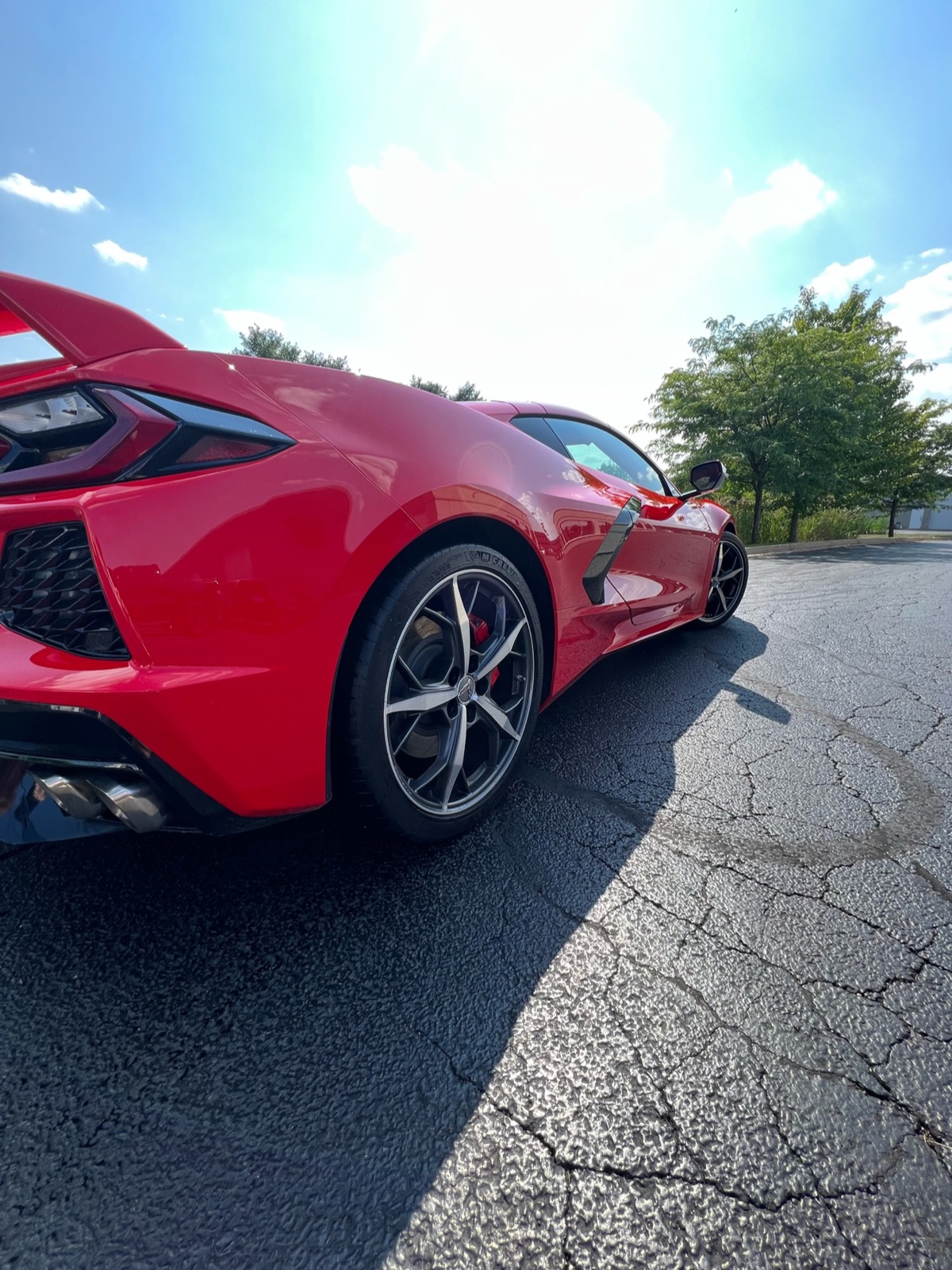 Red C8 Corvette rear quarter after detail
